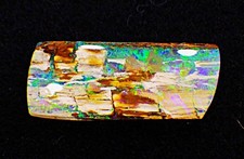 Seltener Schwarzopal Fossil