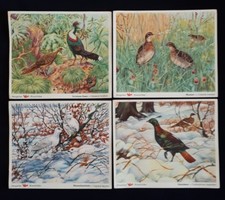 VOSS Margarine Kunstbilder