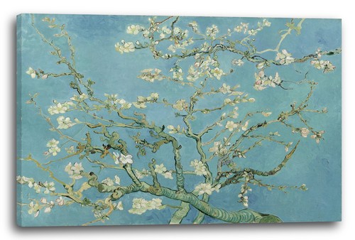 Kunstdruck vincent van - vincent,