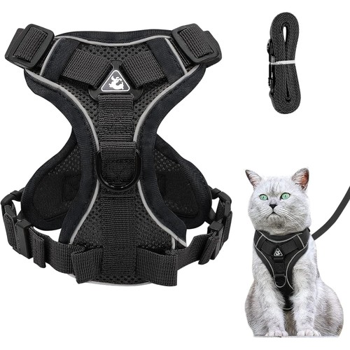 Katzengeschirr