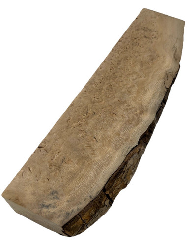 Platane maserholz drechselholz - platane,