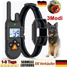 1000M Elektroschock Pet Dog