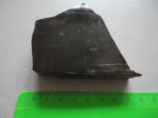 holzstein brasilien verkieseltes holz versteinerung  edelstein  kristall