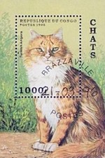 Kongo 1996 Türkisch Angora