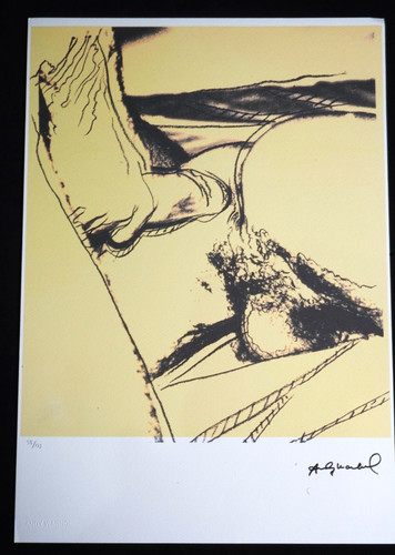 Andy warhol lithographie x - andy,