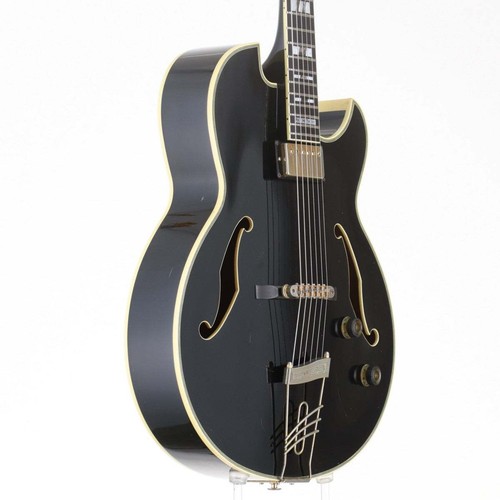 Ibanez pm100 electric - ibanez,