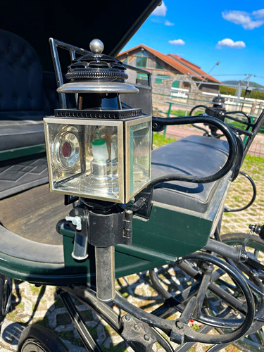 Wagonette pferdekutsche mit - wagonette,