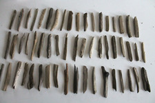 Schwemmholz Treibholz 50 Minis