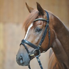 % Kavalkade Trense Angie