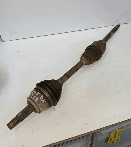 46307998 semialbero ameise - 46307998, semialbero-ameise