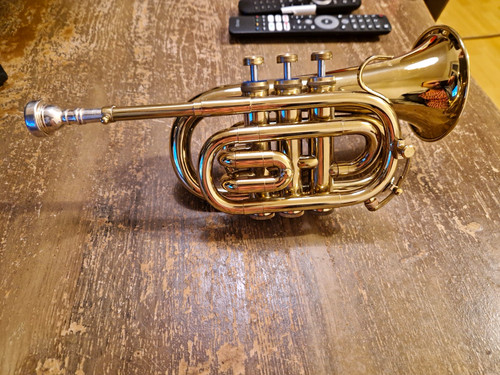 Pocket trumpet goldoptik - trumpet, in