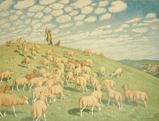 ██  Dorit Litt ║ HANS