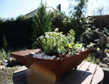 Rost Schale S11 Schale