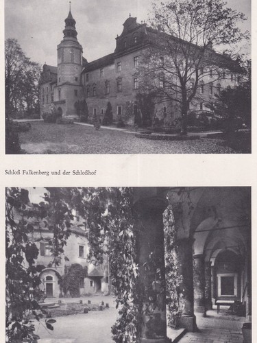 Falkenberg niemodlin das - falkenberg/, niemodlin-