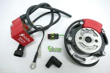 Selettra komplett System NO2019 034-IG-14 Homologiert  für TM KZ 10 Zündung Pvl