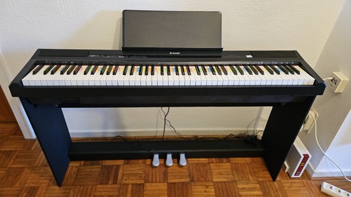 Donner dep piano 88 - dep-10,