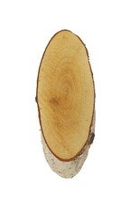 Birkenscheibe oval Holzscheiben Baumscheibe Hochzeit Deko Birkenscheiben Holz