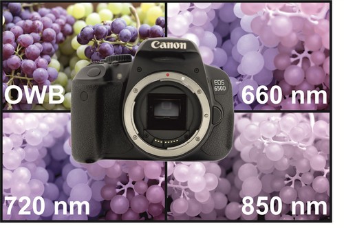 Canon eos 650d - eos,