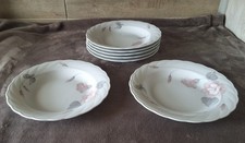 Winterling Porzellan, Röslau Bavaria, Suppenteller 23 cm Rosenranke, Top Zustand