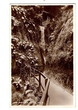 Isle of Wight. Shanklin Chine