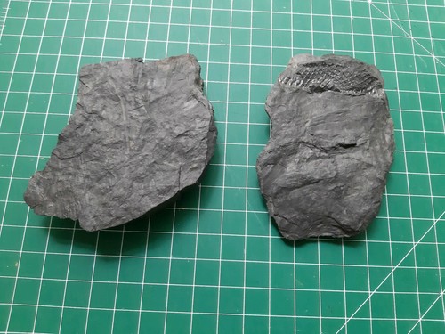 Fossilien schiefer ca - schiefer,
