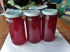 rote Johannisbeeren Marmelade