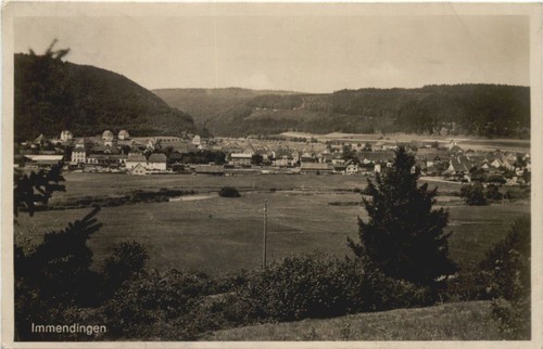 Immendingen 759016 - immendingen, -759016