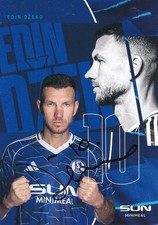 Edi DZEKO - Bosnien, FC