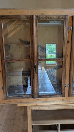 Terarium mit zwei - , kornnattern