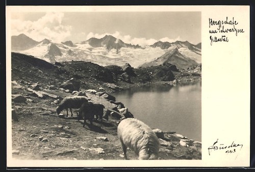 Foto hans hruschka 743 - foto-ak,