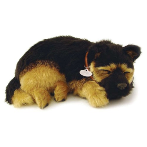 Perfect petzzz 96224 deutscher - petzzz,