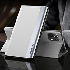 Silber Elektrolyt Leder