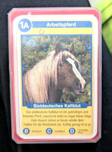 Kartenspiel pferde motive - pferde,