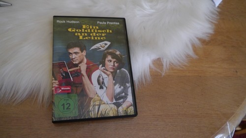 Ein goldfisch der leine - ein,