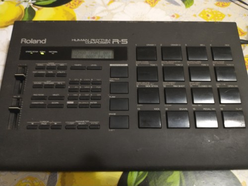 Roland human rhythm - roland, r5