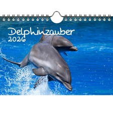 Delphinzauber DIN A5 Kalender