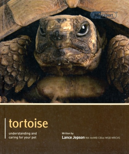 Tortoise lance jepson - lance,