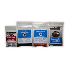 Triops longicaudatus Red