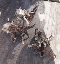 2 XL Treibholz Schwemmholz