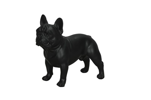 Französische bulldogge - französische,
