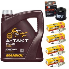 Inspektion 4L Öl Set