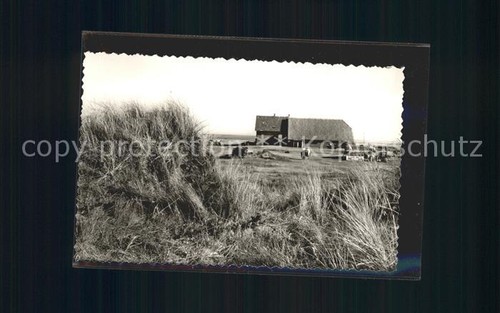 Juist nordseebad domaene bill - juist,