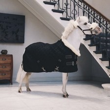 KENTUCKY Stall/Turnierdecke SHOW RUG TINY 160g - schwarz