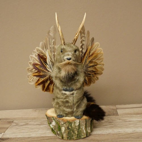 Wolpertinger murmel präparat - wolpertinger,