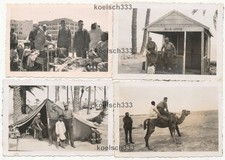 4 Fotos Deutsches Afrika Korps Marktplatz " Villa Lustig " Zelt Kamel Wüste ...