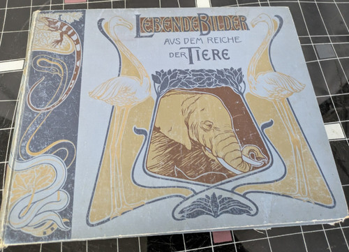 Lebende bilder aus dem - lebende,