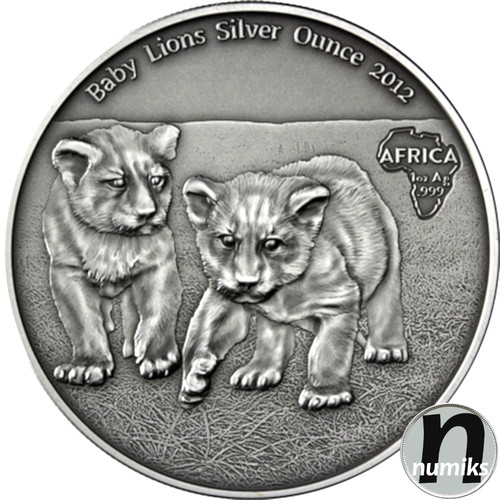 Baby löwen afrika - afrika,