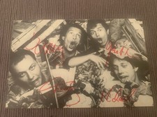Spider Murphy Gang -