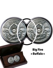 Silbermünzen Südafrika Big