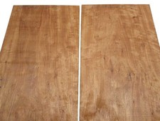 1x Bubinga Holz Rosenholz